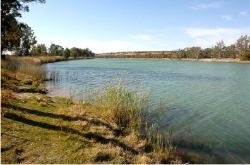 River Murray scene (Devlin's Pound)_w